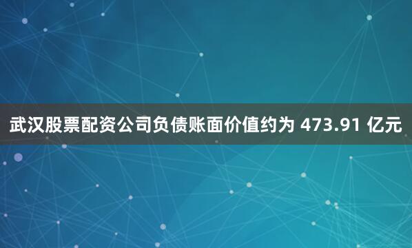 武汉股票配资公司负债账面价值约为 473.91 亿元