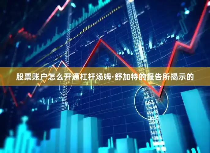股票账户怎么开通杠杆汤姆·舒加特的报告所揭示的