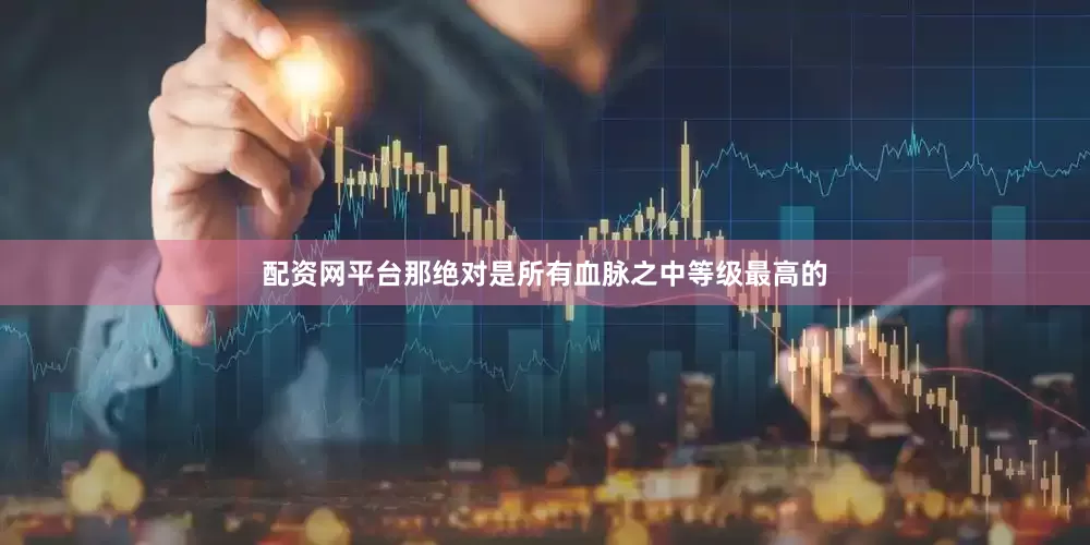 配资网平台那绝对是所有血脉之中等级最高的