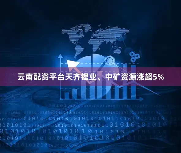 云南配资平台天齐锂业、中矿资源涨超5%