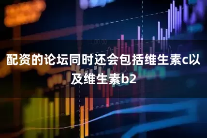 配资的论坛同时还会包括维生素c以及维生素b2